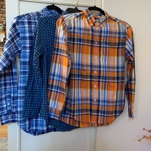 Boys - Set of 3 Ralph Lauren Button Dress Shirts